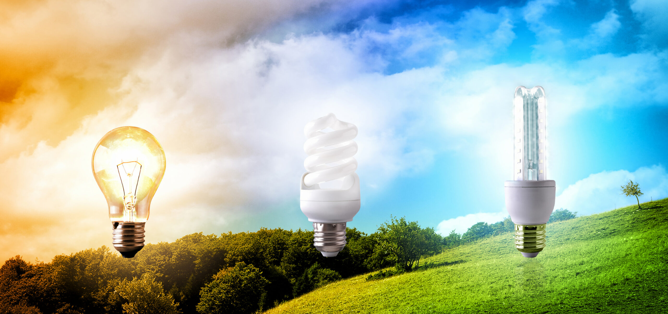 How Different Types of Light Bulbs Impact Your Electricity Bill